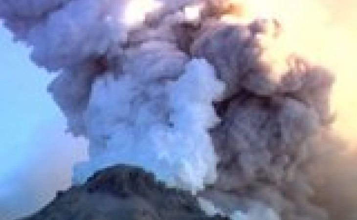 Вулкан Шивелуч на Камчатке выбросил пепел на высоту 8,5 километра
