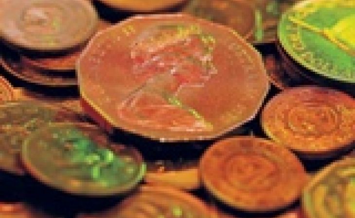 Грабитель украл из музея на Алтае монеты позапрошлого века