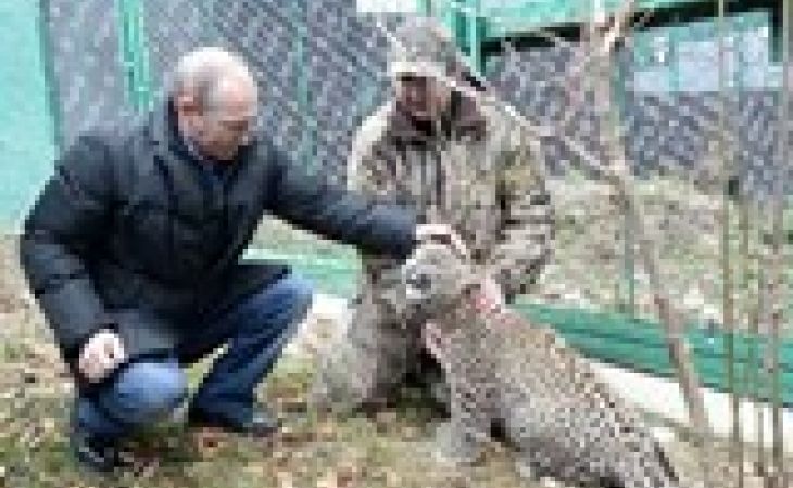 Владимир Путин побывал в клетке с леопардом