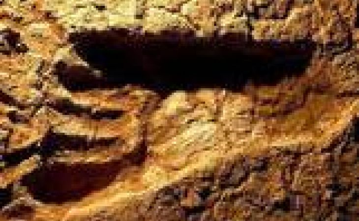 Следы древнейших людей, живших 800 тысяч лет назад, найдены в Великобритании