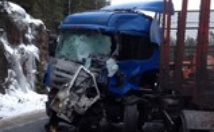 Микроавтобус столкнулся с лесовозом под Санкт-Петербургом, погибли десять человек