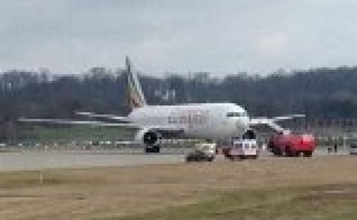 Пилоту, угнавшему самолет в Женеве, грозит до 20 лет лишения свободы
