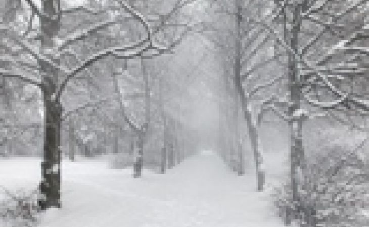 Мокрый снег, порывистый ветер, гололед – на Алтае прогнозируется ухудшение погоды