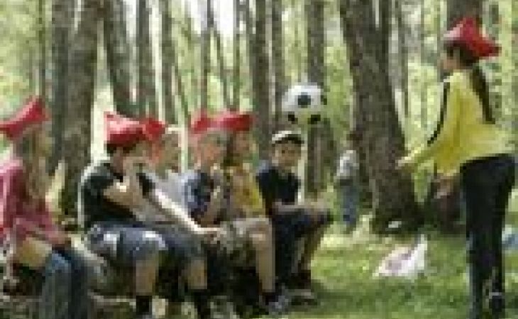 Десять детских лагерей могут не открыться на Алтае в этом году