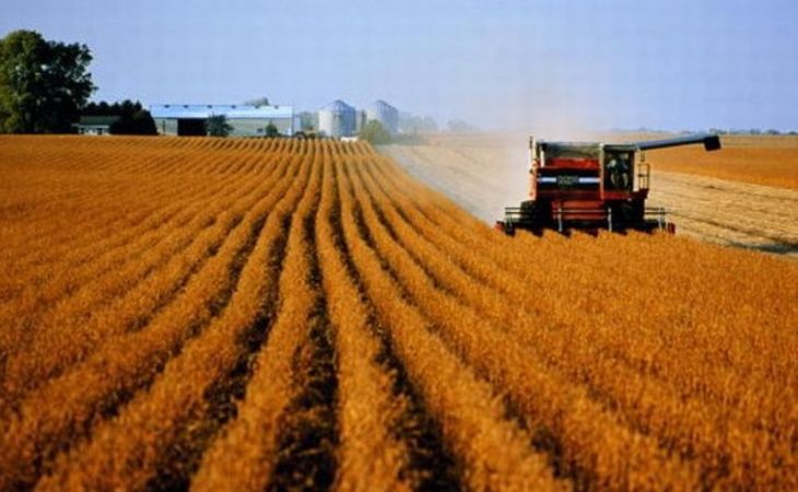 Cельхозпредприятие на Алтае задолжало своим работникам 4,1 млн руб.