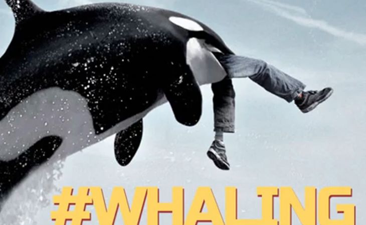 Новая волна флешмобов началась в мире – люди изображают китов