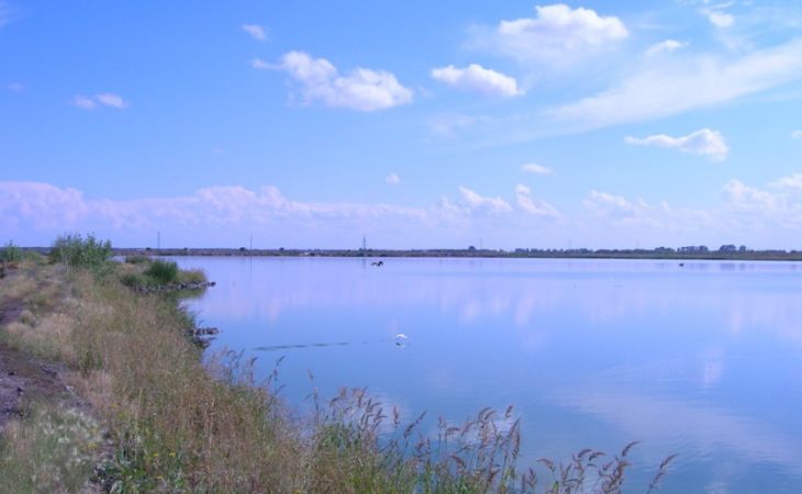 Мужчина утонул в озере в Рубцовском районе
