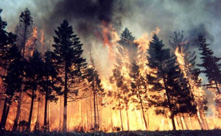 Штормовое предупреждение объявлено на Алтае в связи с пожароопасностью