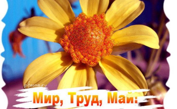 Россияне 1 мая отметят Праздник весны и труда шествиями и демонстрациями