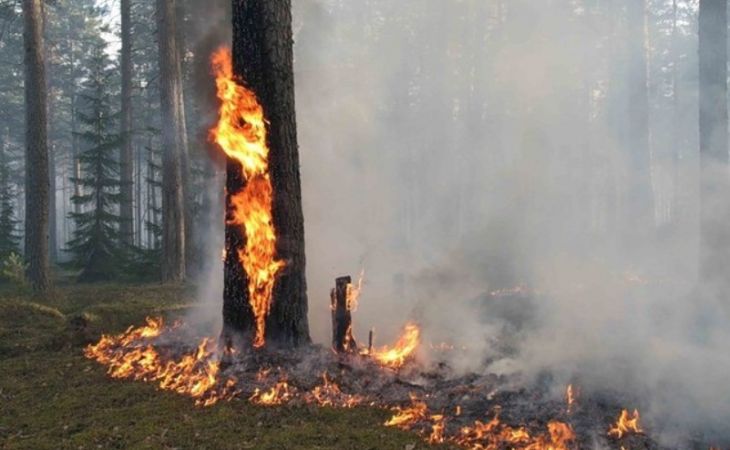 Штормпрогноз о высокой пожароопасности вновь объявлен на Алтае