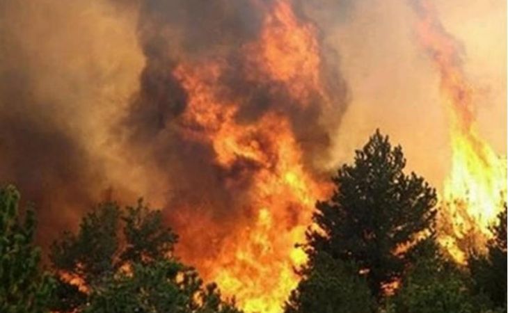 Сибирский поселок загорелся из-за лесного пожара