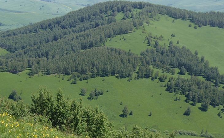 Две горы в Алтайском крае получили статус памятника природы благодаря школьному учителю