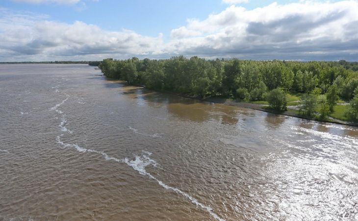 Уровень воды в районе Барнаула вырос на девять сантиметров