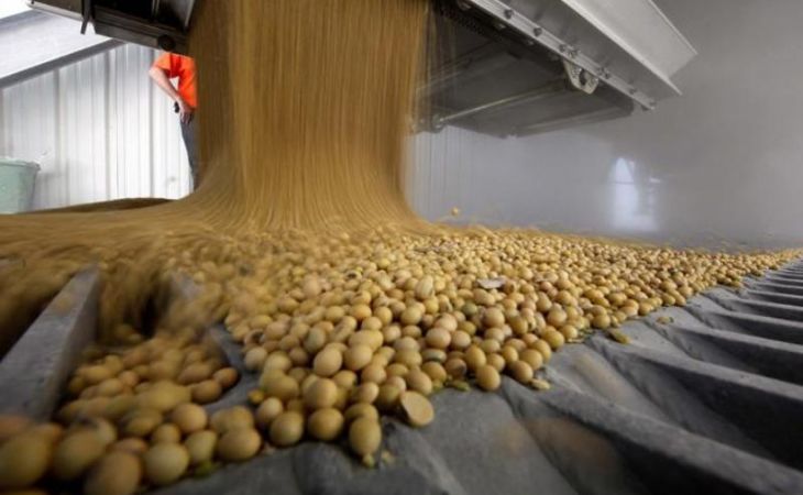 Россельхознадзор может запретить ввоз кукурузной крупы и бобов из Украины