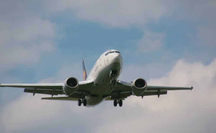 Эксперты установили личности еще 42 жертв "Боинга 777"