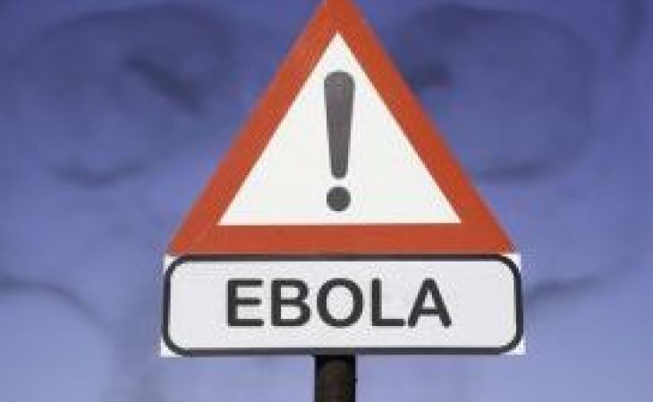 Остаться в живых: вакцина против вируса Эбола появится в 2015 году