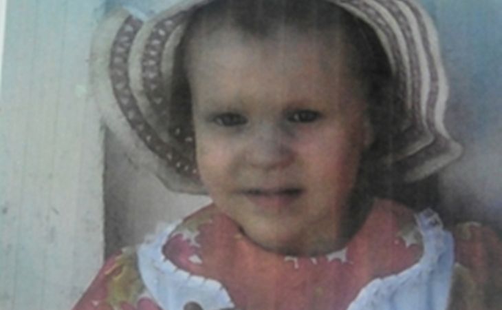 Полиция и волонтеры ищут в Томске трехлетнюю девочку, возбуждено уголовное дело