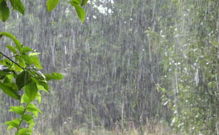 Дожди, град, сильный ветер ожидаются в ближайшие дни на Алтае