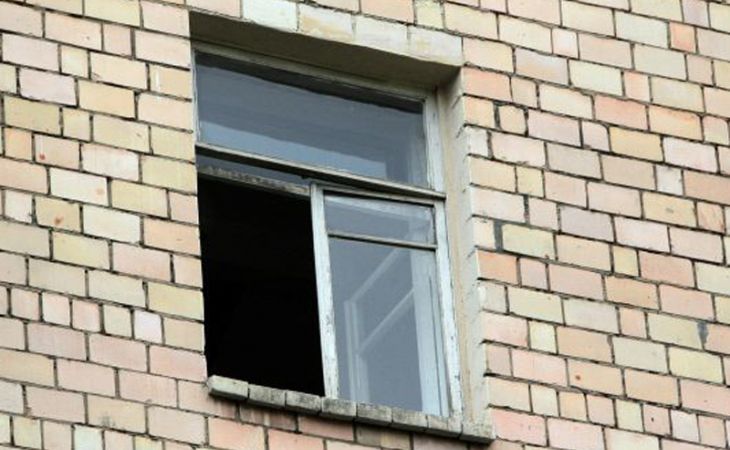 Подросток в Санкт-Петербурге выбросился из окна из-за 60 кошек матери