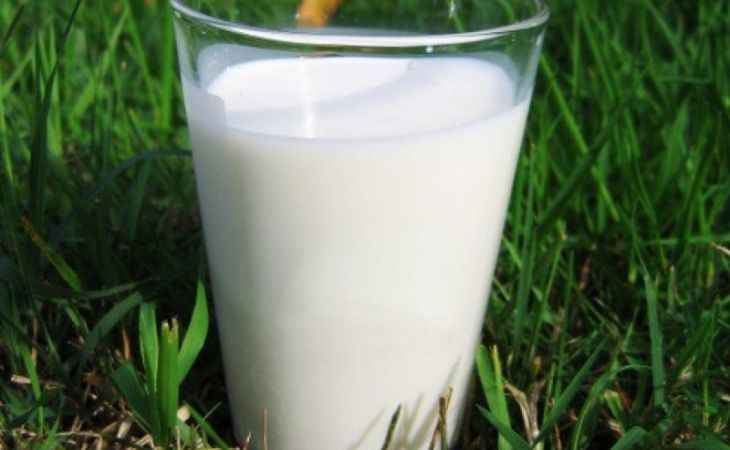 Антимонопольщики Алтая возбудили уже четвертое дело в отношении сборщиков молока
