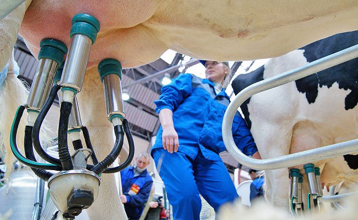 Россельхозбанк расширяет возможности кредитования для производителей молока