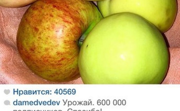 Премьер-министр Медведев сказал "спасибо" своим фалловерам в Instagram