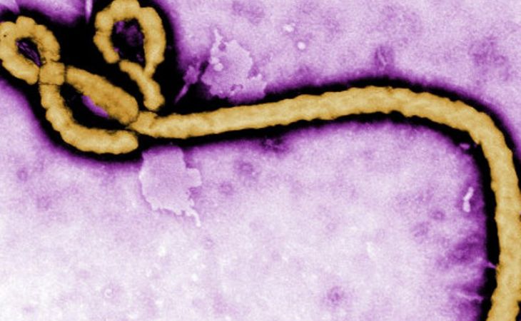 Американец, заболевший лихорадкой Эбола, контактировал с 18 родственниками