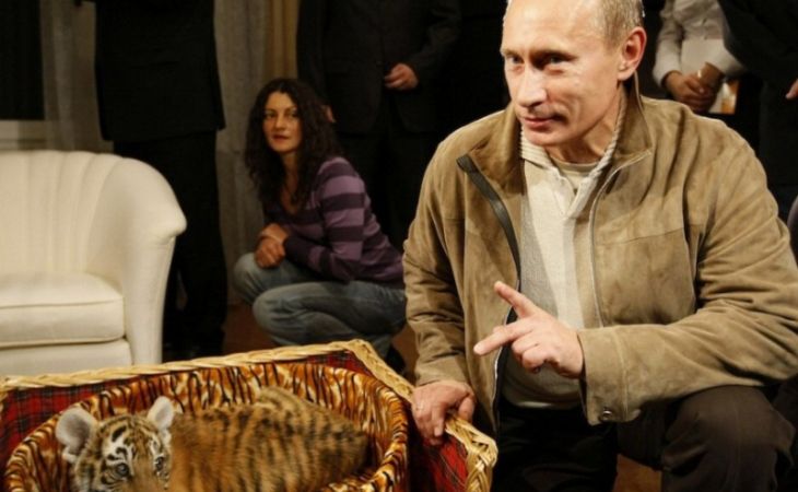 Николай Дроздов подарил Путину на день рождения плюшевого тигра