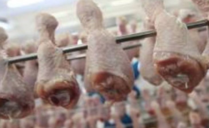 Мясо птицы, продающееся  в алтайских магазинах, не заражено птичьим гриппом – Россельхознадзор