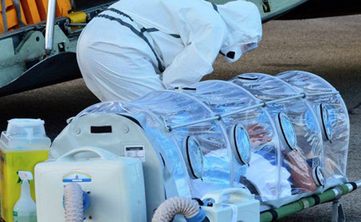 Власти Мадрида намерены усыпить собаку медсестры, заразившейся лихорадкой Эбола