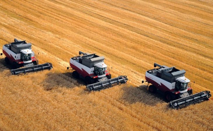 Дмитрий Медведев заявил о почти рекордном урожае зерна в 2014 году