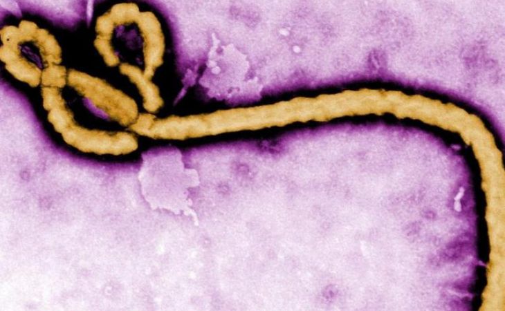 Британец скончался в Македонии от лихорадки Эбола