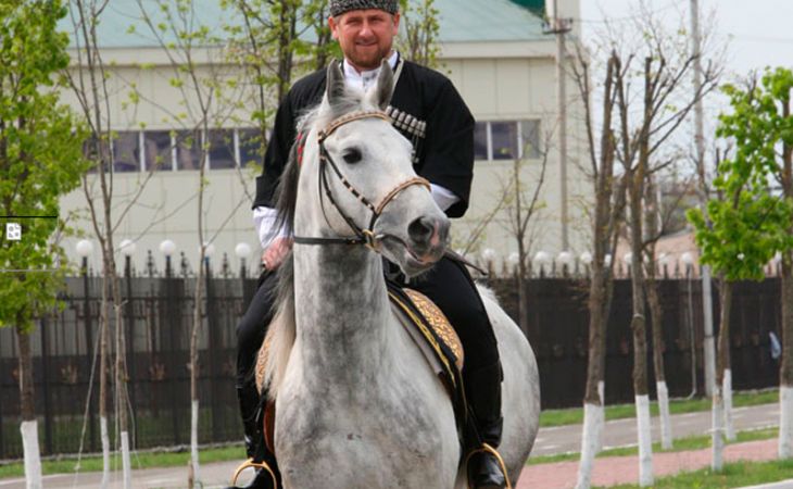Рамзан Кадыров выступил против санкций в отношении лошадей