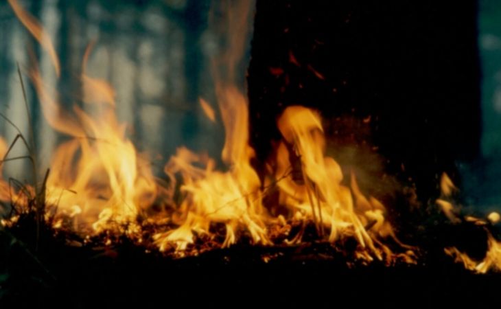 Семья из четырех человек погибла при пожаре на Алтае