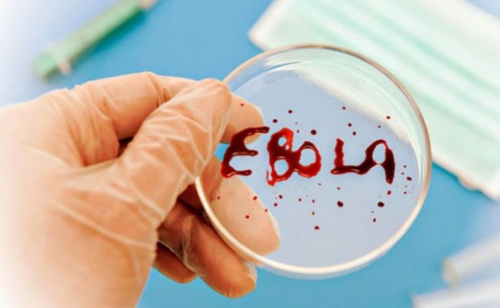 Испытания лекарства против Эболы завершат в январе 2015 года сибирские ученые