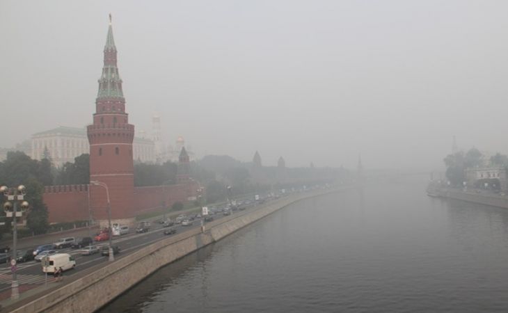 Запах гари в Москве возник из-за сжигания древесины – МЧС