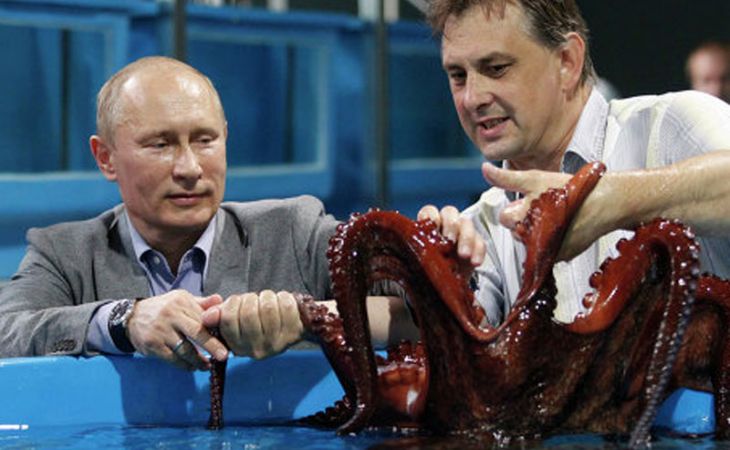 "Путинский" океанариум на Дальнем Востоке разворовали на 2 млрд рублей