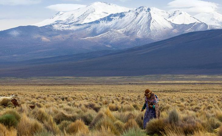 Новый маршрут познакомит с кухней и природой Боливии
