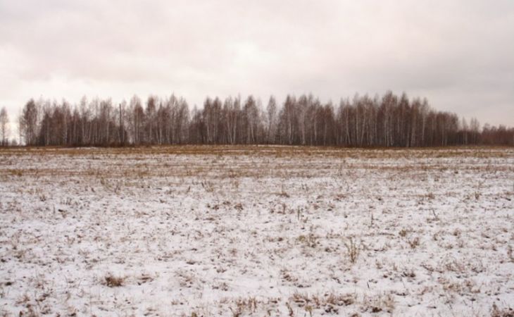 Москва не определила характер и сумму поддержки алтайских крестьян за погибший урожай