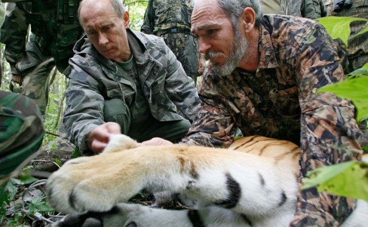 "Путинский" тигр Кузя вернулся на родину