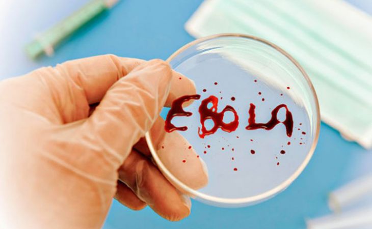 Врачи Барнаула будут спасать жизнь инфицированного вирусом Эбола