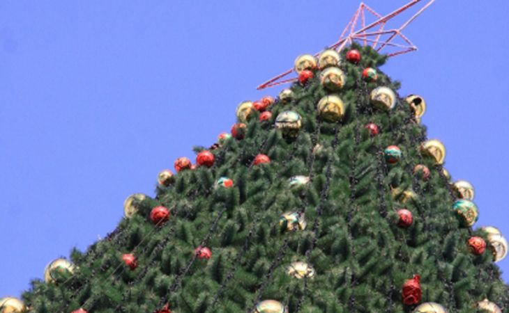 Искусственная 14-метровая ель установлена в барнаульском парке "Лесная сказка"