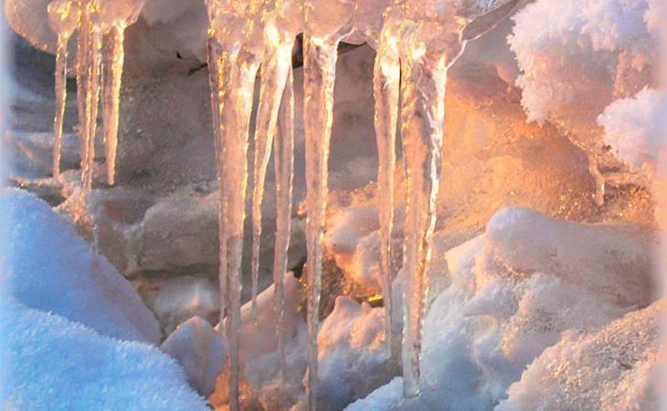 Вторая неделя февраля в Алтайском крае начнется с оттепели