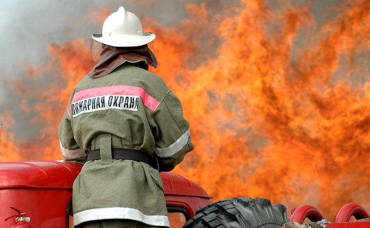 План тушения лесных пожаров в Алтайском крае утвердят до 20 февраля