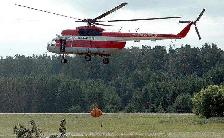 Алтайские летчики начали подготовку к лесопожарному сезону