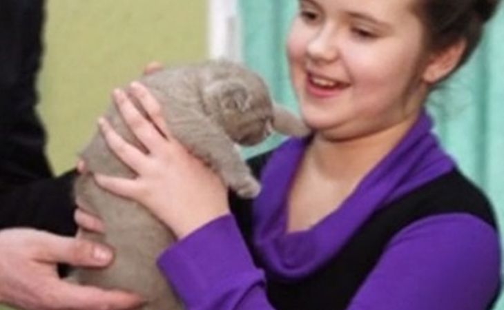 Владимир Путин подарил котенка девочке из небогатой семьи в Мурманской области