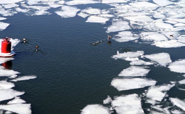 Пятнадцать рыбаков оторвало от берега на льдине в Приморье