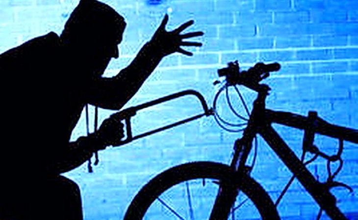 Житель Алтая вместо дорогой техники похитил из квартиры велосипед