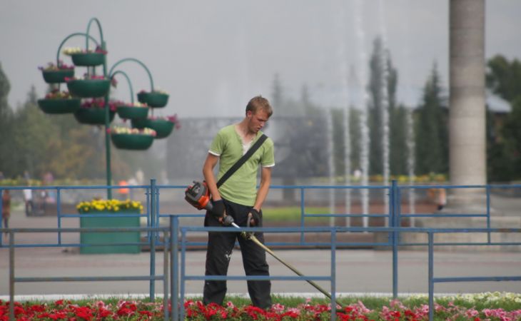 Более двух миллионов цветов высадят в Барнауле весной