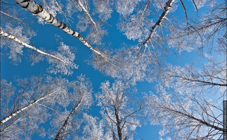 Cредняя температура по России зимой может вырасти к 2050 году